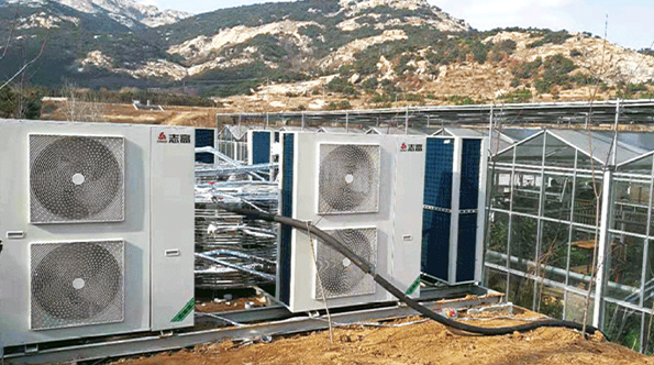 七彩鳳凰農業觀光園大棚養殖